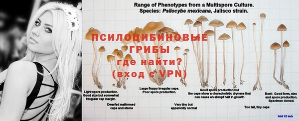 винт Балахна